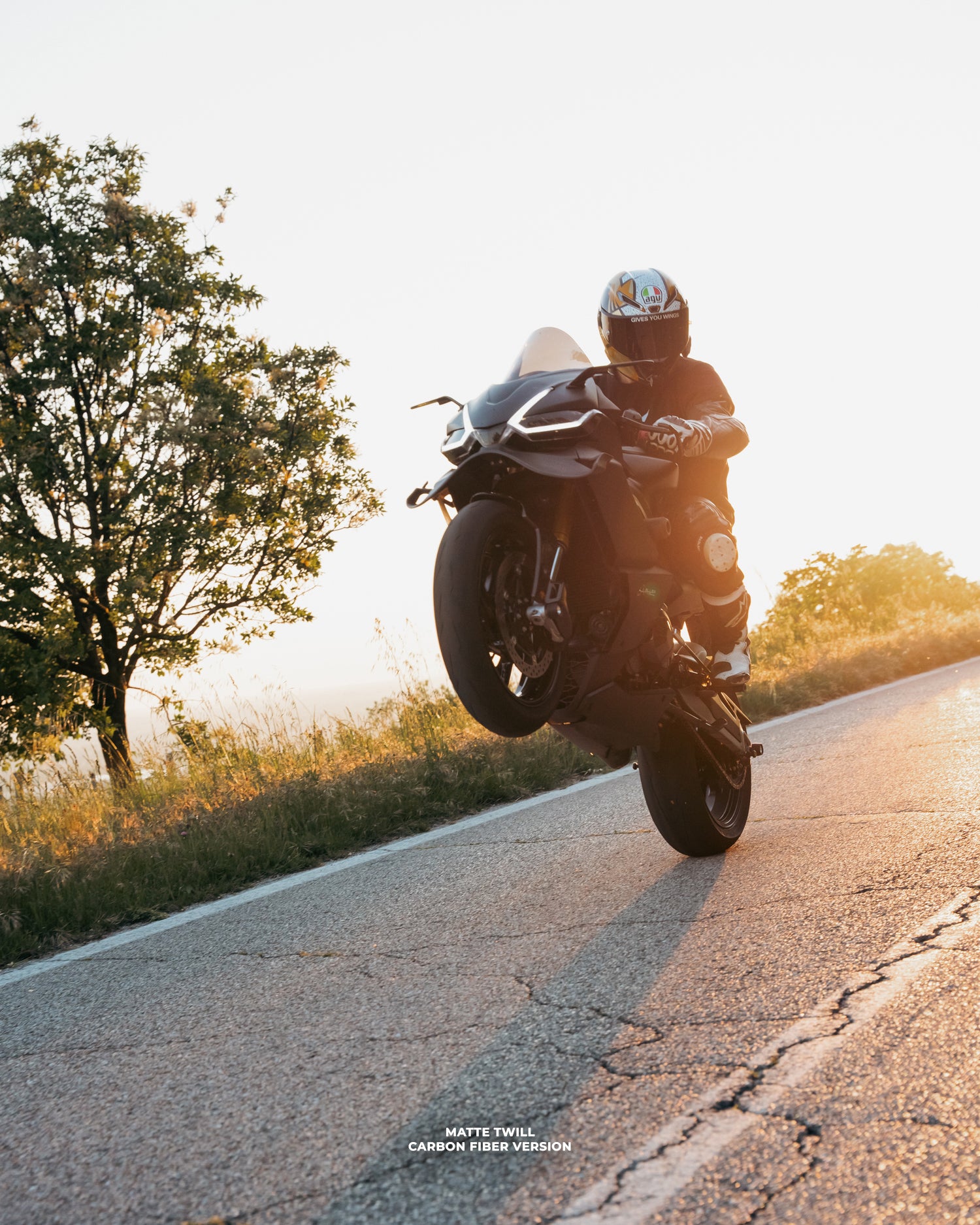 Aprilia RS660 Front Wings (until 2024)