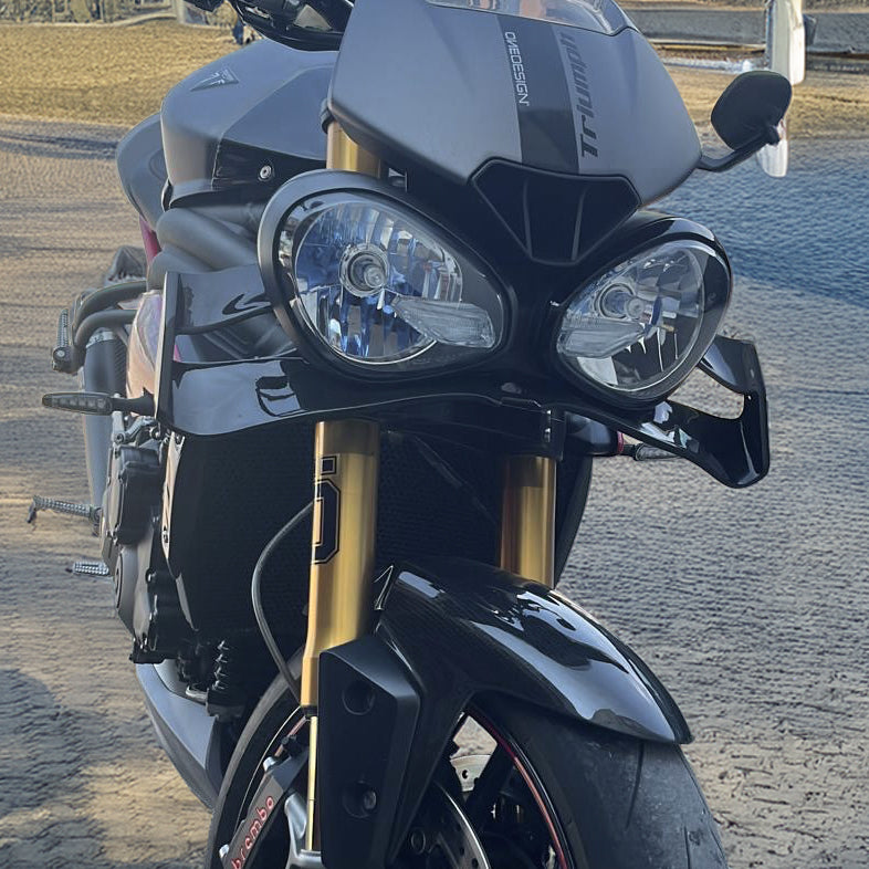 Ala frontale Triumph Speed 1050
